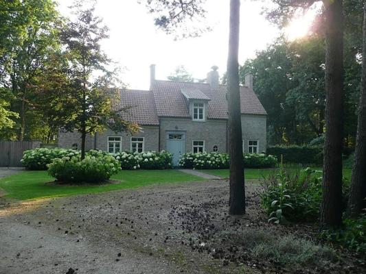 Duyn en Daelseweg 9A Image 7