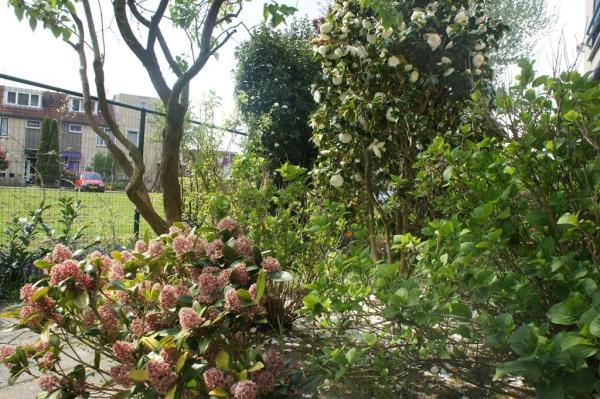 Heerendonklaan 43 Image 18