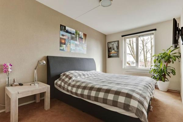 Zuid Willemsvaart 530 Image 20