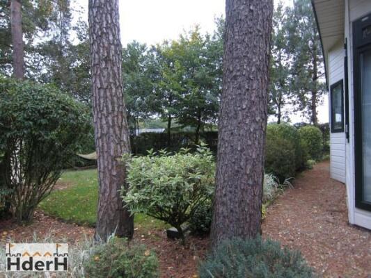 Grebbeweg 111 Image 4