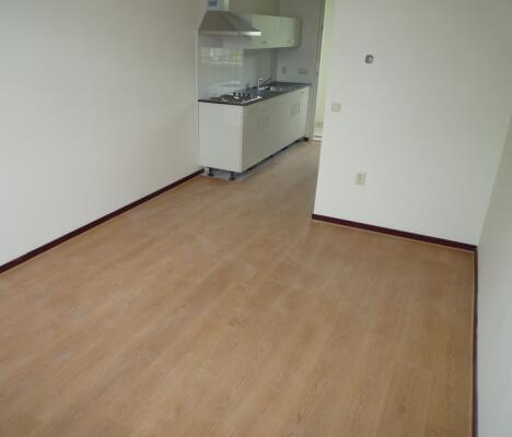 Wittebollestraat Image 0
