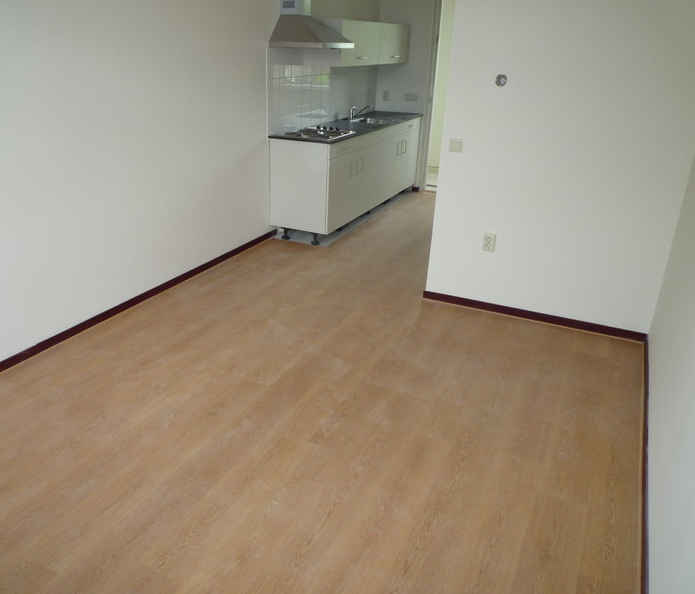 Wittebollestraat, Tilburg