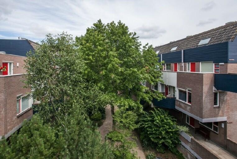 Doornenburg, Dordrecht foto 2