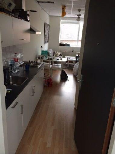 Wittebollestraat, Tilburg foto 2