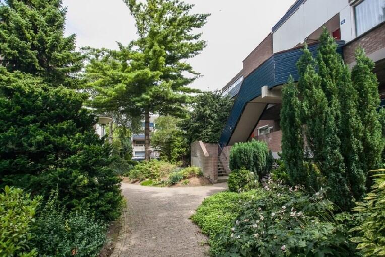 Doornenburg, Dordrecht foto 3