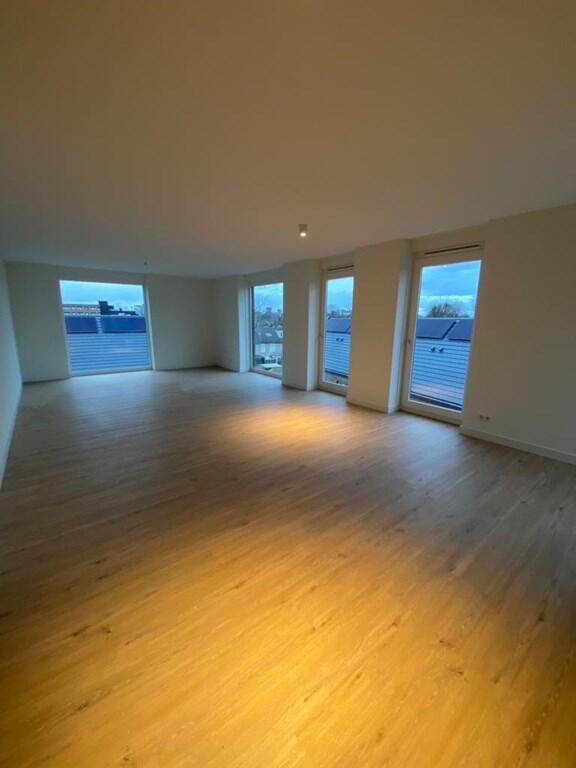 Goudvisstraat, Eindhoven foto 3