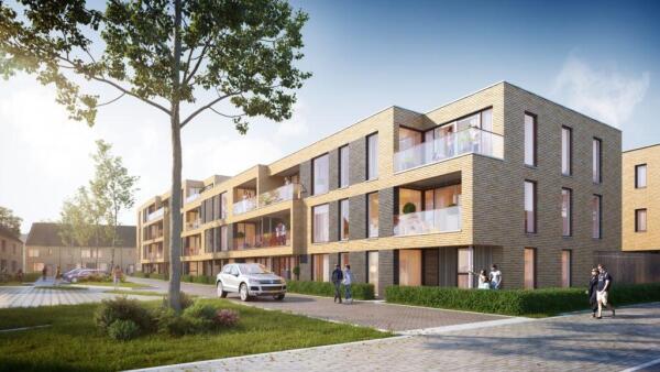 Goudvisstraat Image 12