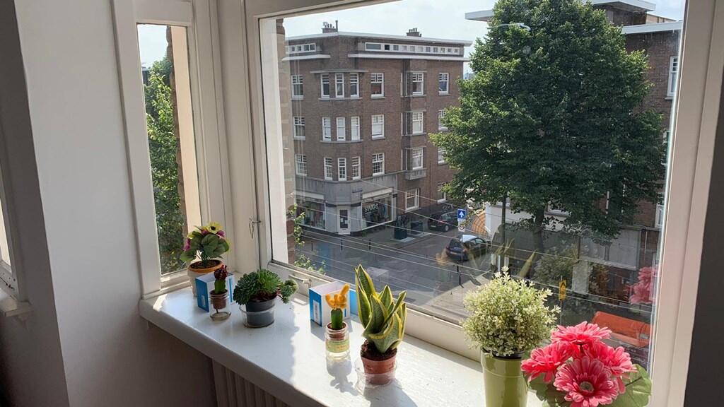 Vondelstraat, Den Haag foto 5