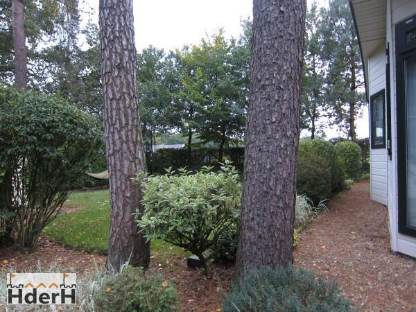 Bunckmanplein 5, Voorthuizen foto 5