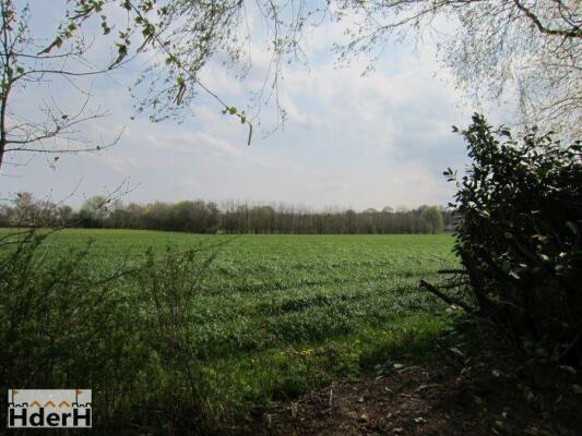 Zuiderzeestraatweg 201a Image 14
