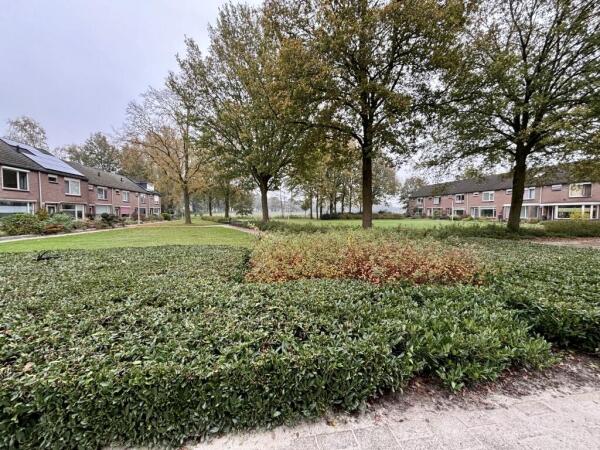 appartementen te huur op Multatuliplantsoen