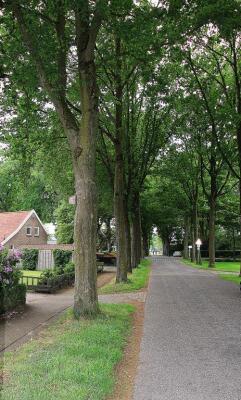 De Weidenweg Image 8