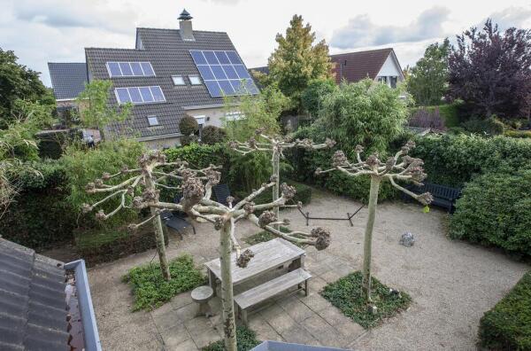 Hannie Schaftlaan Image 4