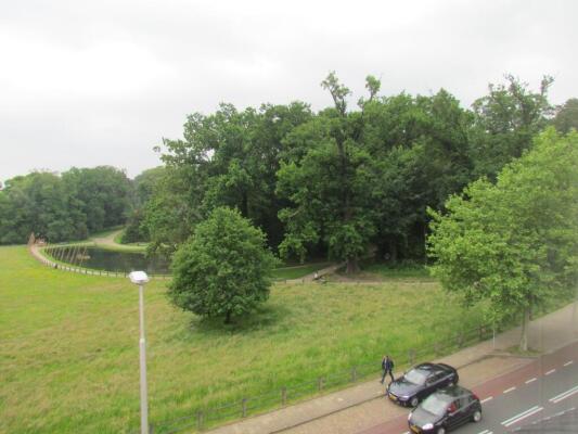 Sonsbeekweg Image 9