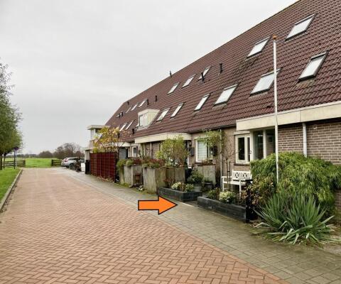 Dotterbloem Image 0