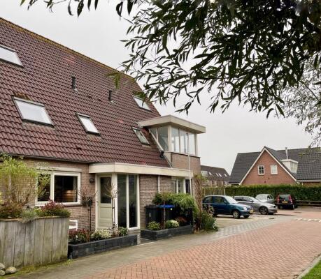 Dotterbloem Image 3