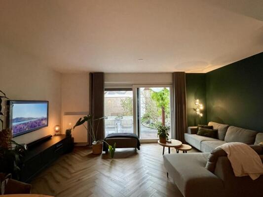Dotterbloem Image 6