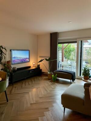 Dotterbloem Image 7