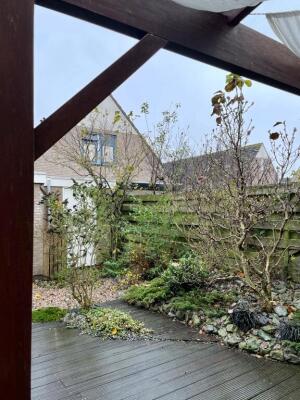 Dotterbloem Image 15