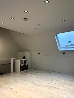Dotterbloem Image 23