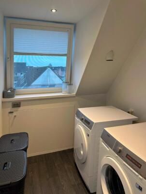 Dotterbloem Image 25