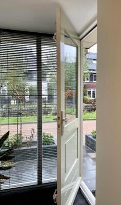 Dotterbloem Image 26