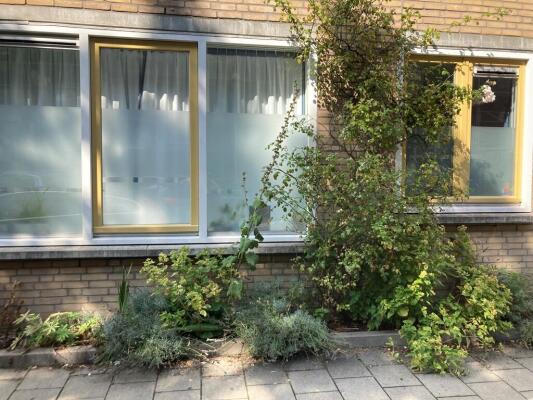 Tweede Oosterparkstraat 69A Image 34