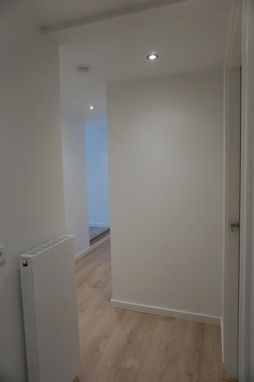 Rootven, Moergestel foto 4