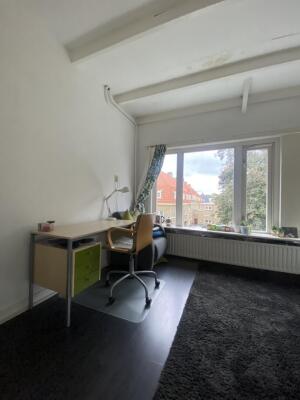 Brinklaan Image 5