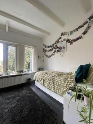 Brinklaan Image 7