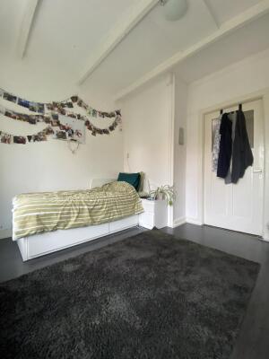 Brinklaan Image 8