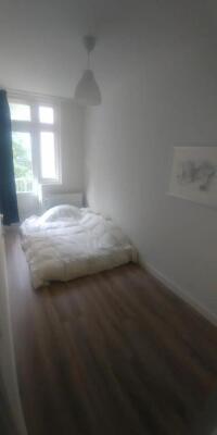 Swammerdamstraat Image 0