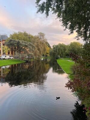 Noordsingel Image 11