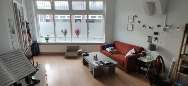 Van der Laenstraat Image 3