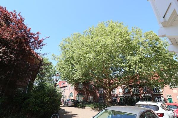 Leeuwerikstraat 82A Image 25
