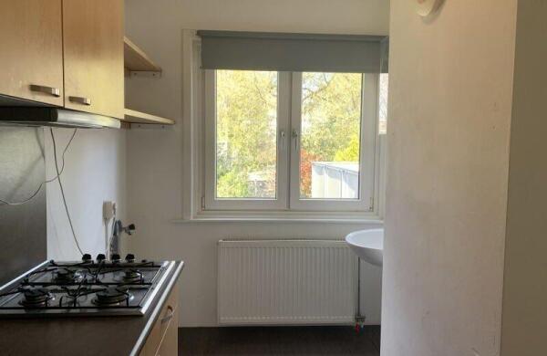 Pastoriestraat  Image 8