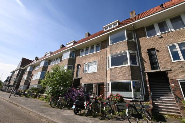 Floresplein Image 0