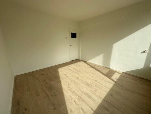Fichtestraat Image 8