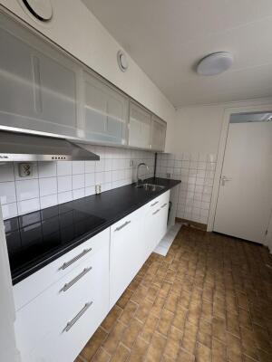 Borneostraat Image 8