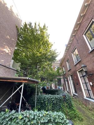 Bakkerstraat 52 Image 12