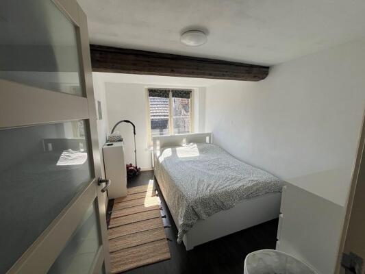 Wolfstraat Image 8