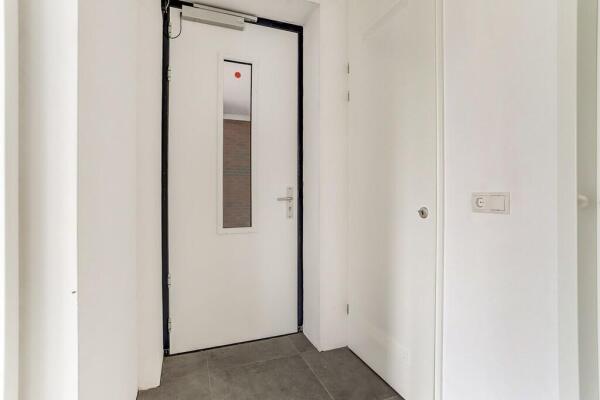 Vogelwikke 1a Image 8