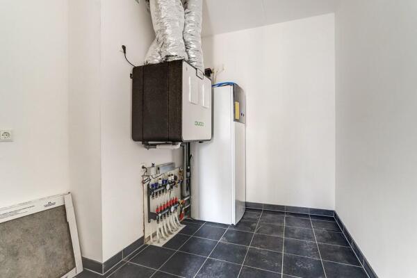 Vogelwikke 1a Image 9