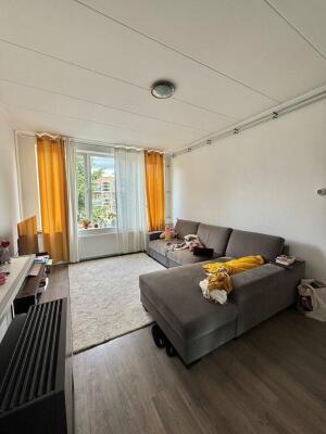 Goereesestraat Image 4