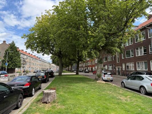 Goereesestraat Image 18