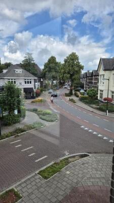Koninginnelaan Image 12