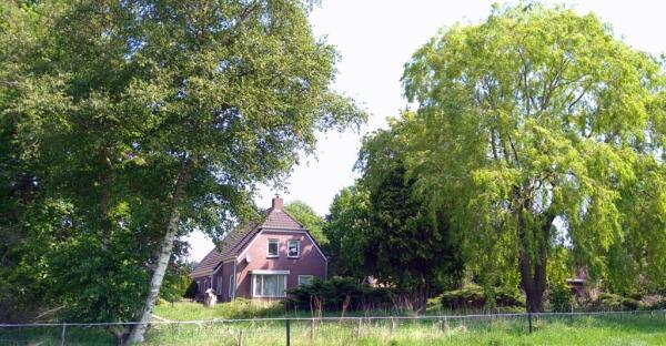 Kanaal N.Z. Image 2