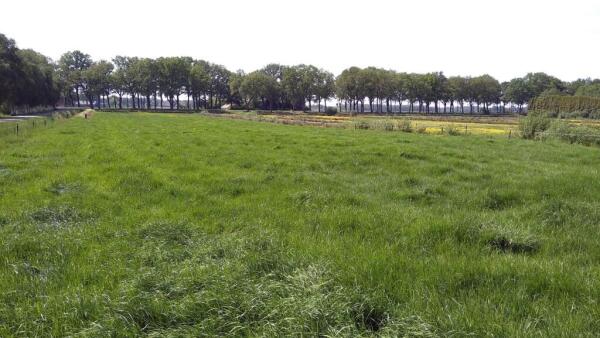 Kanaal N.Z. Image 7