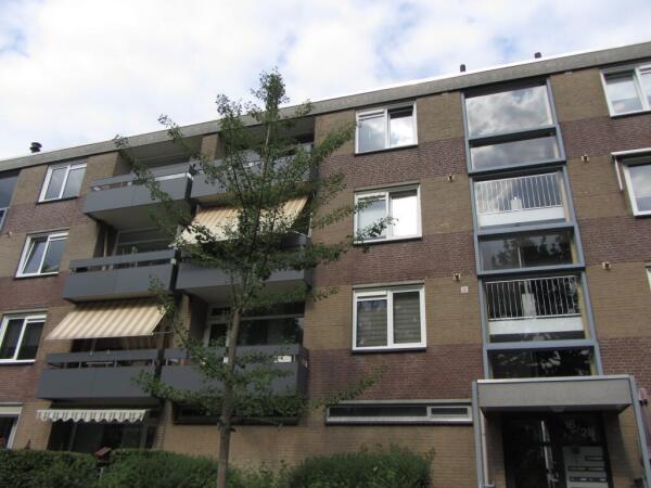 private-rentals for rent on Palmstraat