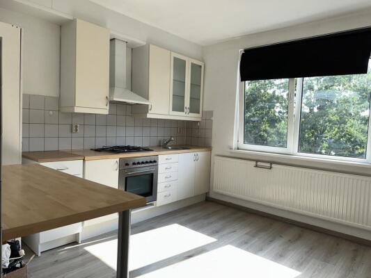 Palmstraat Image 1